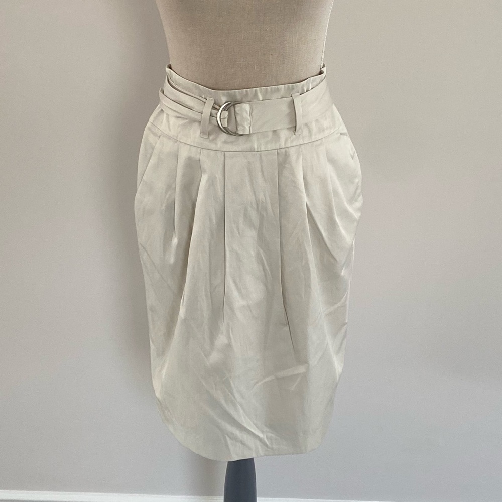 Banana Republic skirt